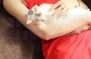 推女神 – 观看“Kiren_程程程黑色”：学习怎么穿得比我的咖啡还黑！