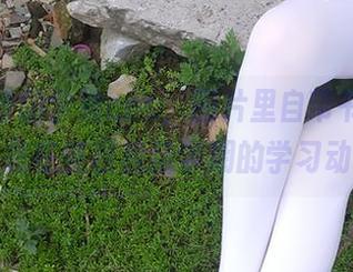 这西尔酱的学姐cos，图片里自带书卷气，难道是在征召我新学期的学习动力？